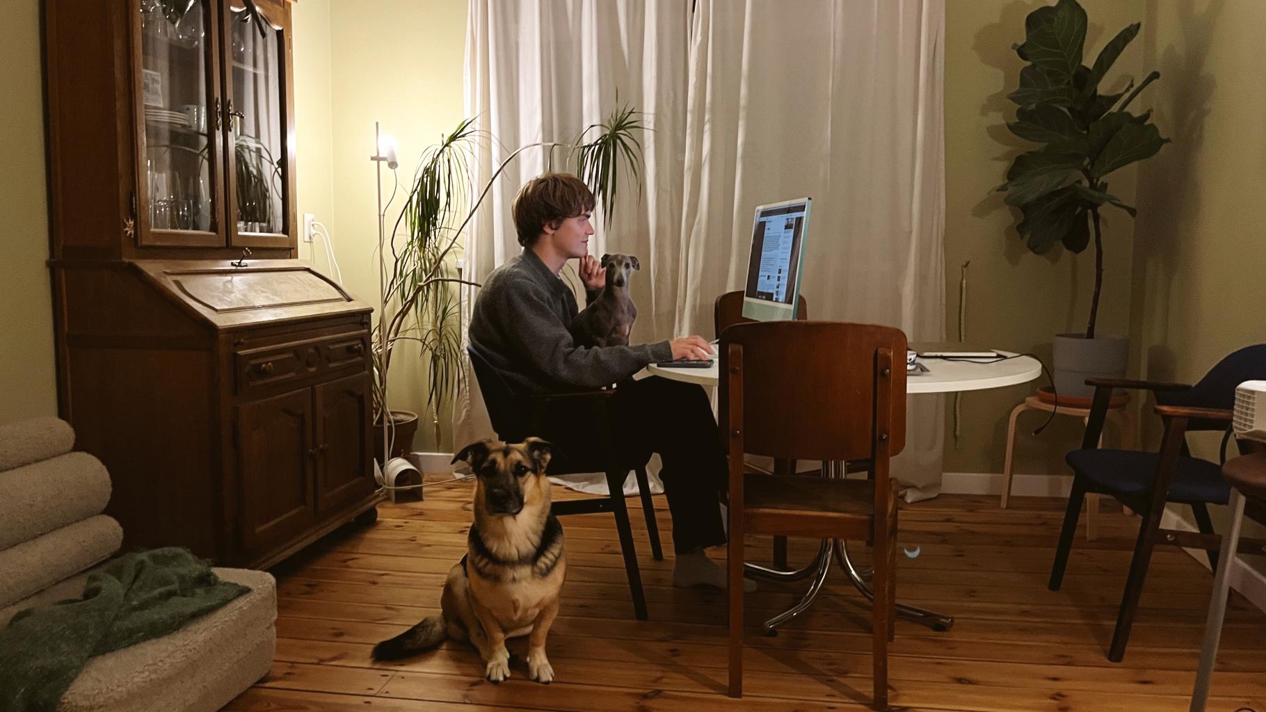 Aleksis titulbilde.JPG