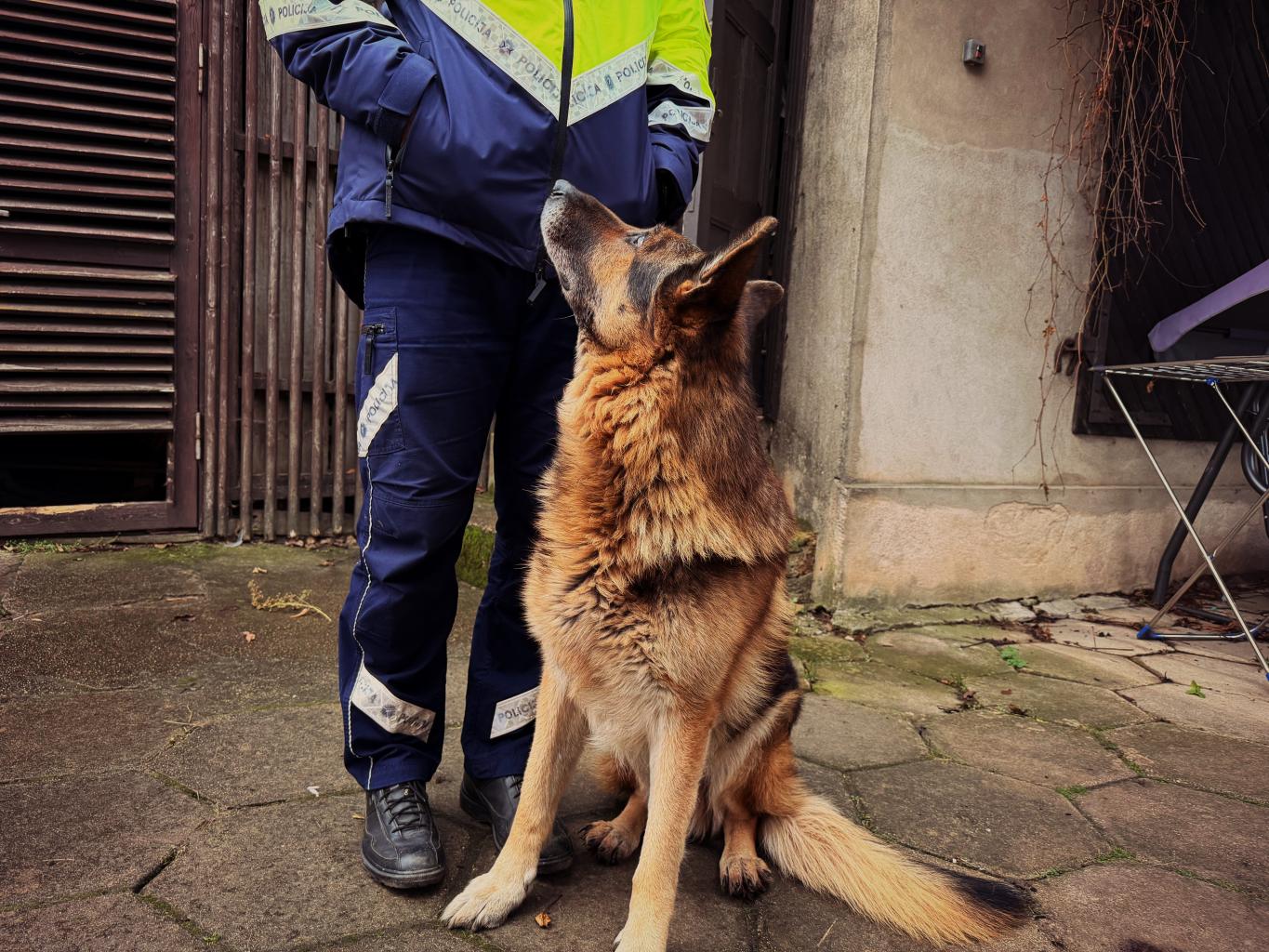 5_Strēle_Lazdāne_Pinkule_Knoka_Miksone_foto(17) (1).jpg