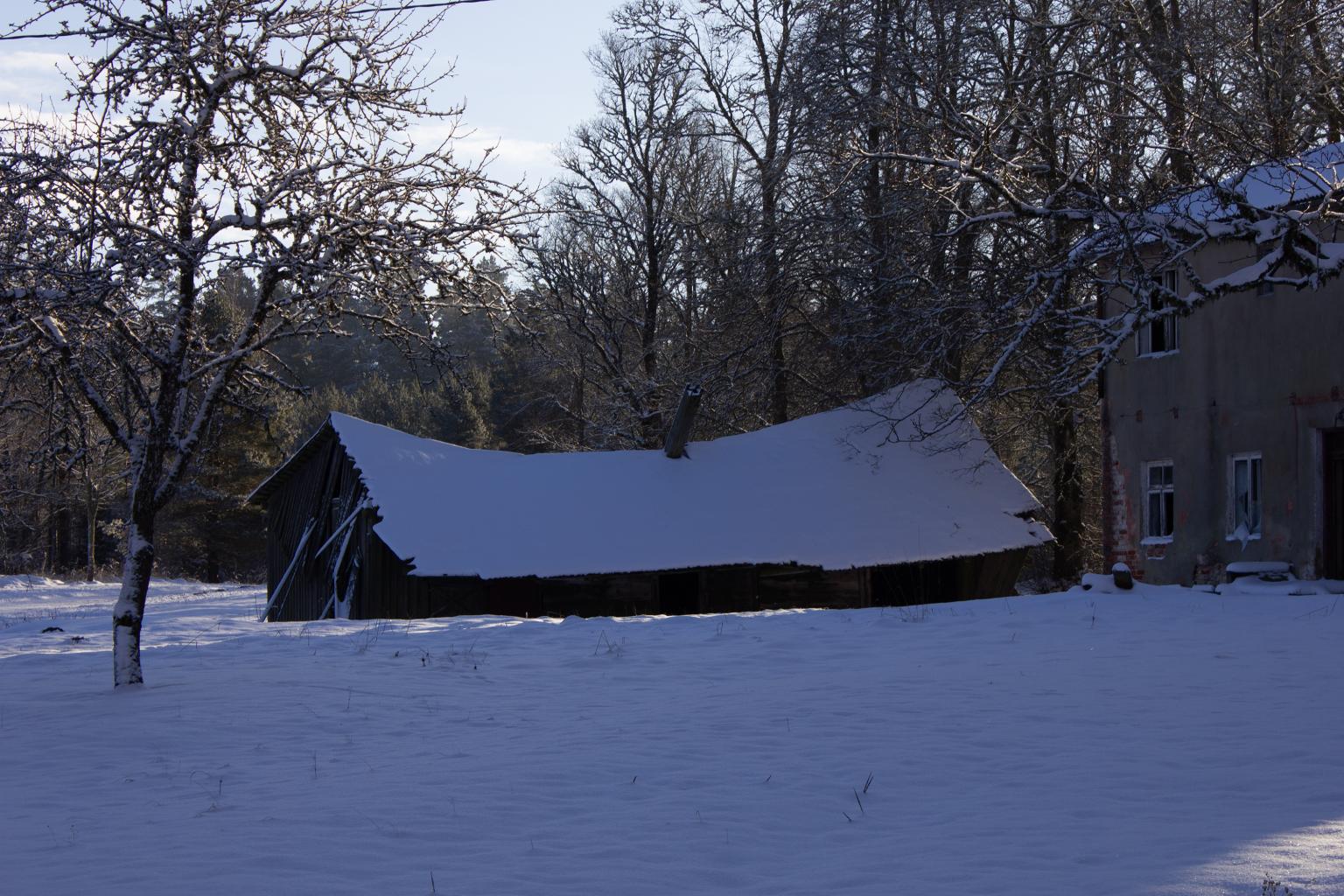 3_Mikolajs_Štelmakere_Ore_Gertmane_Martinsone_Vituka_stirnumuiža (8) copy.jpg