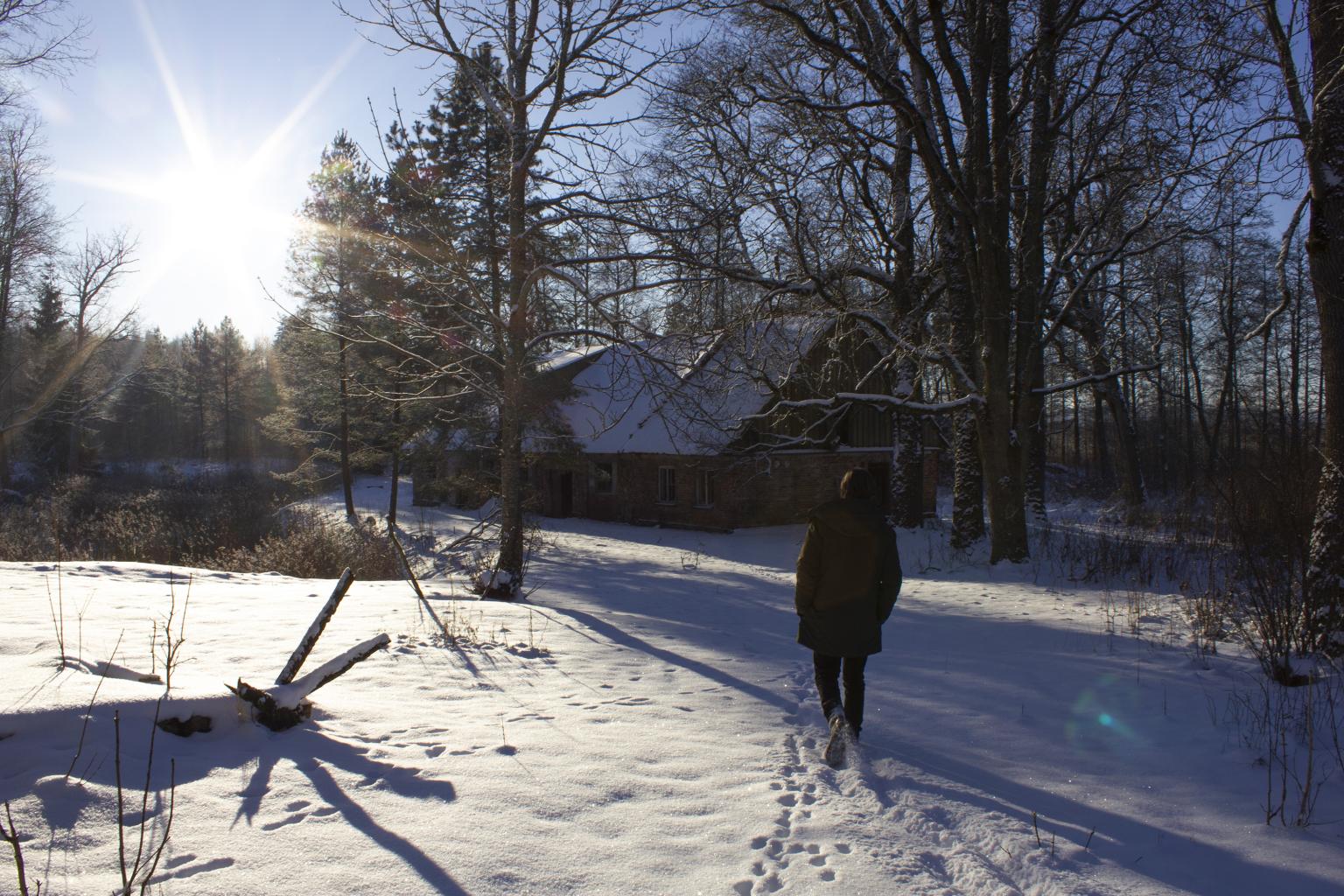 4_Mikolajs_Štelmakere_Ore_Gertmane_Martinsone_Vituka_stirnumuiža (3) copy.jpg