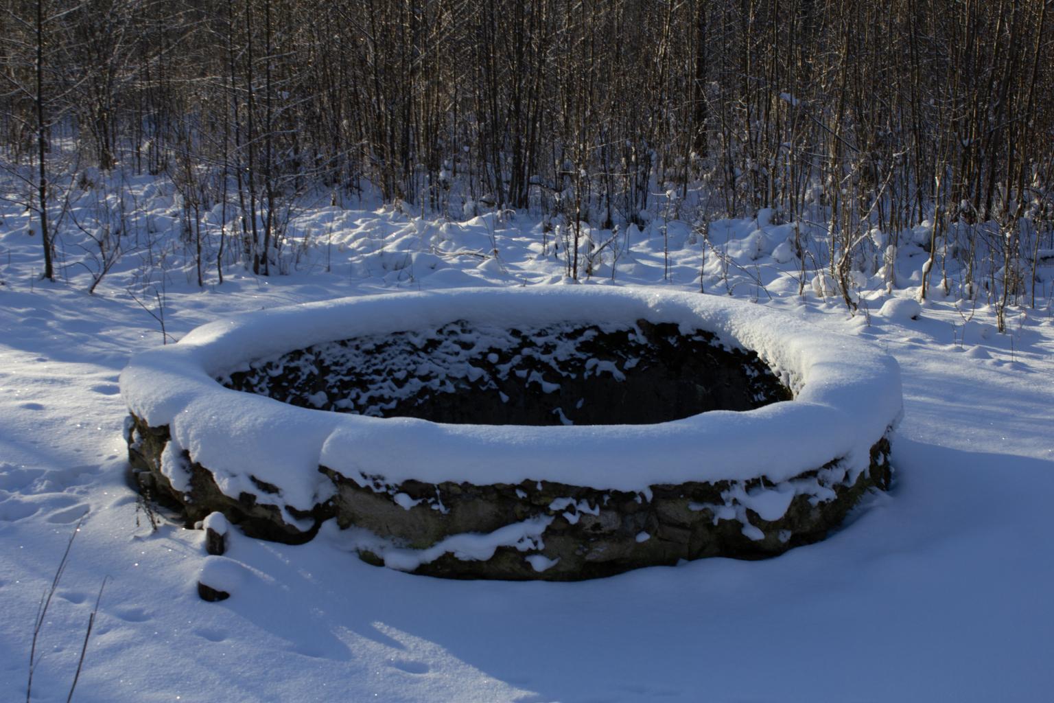 5_Mikolajs_Štelmakere_Ore_Gertmane_Martinsone_Vituka_stirnumuiža (4) copy.jpg