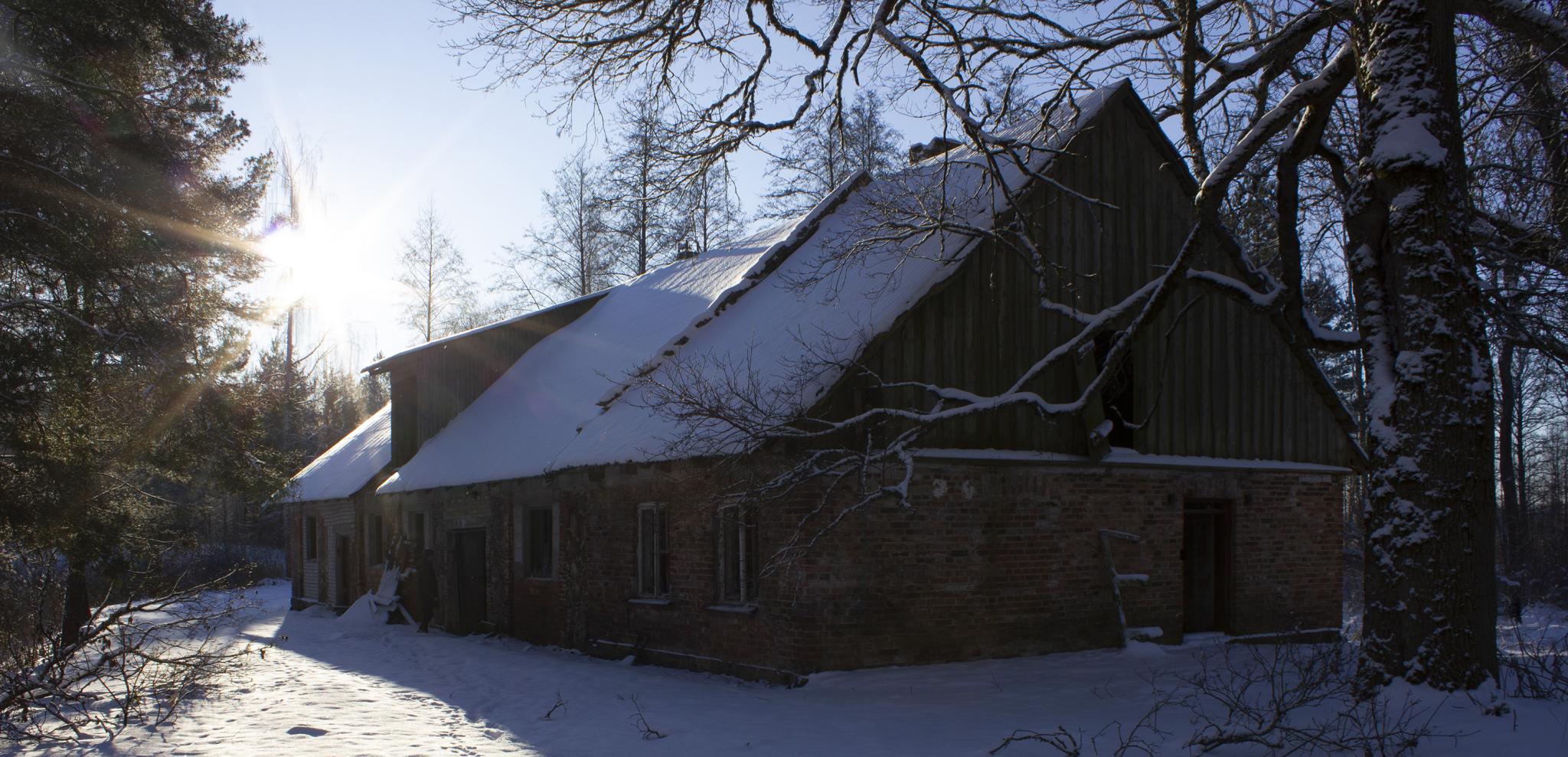 7_Mikolajs_Štelmakere_Ore_Gertmane_Martinsone_Vituka_stirnumuiža (14) copy.jpg