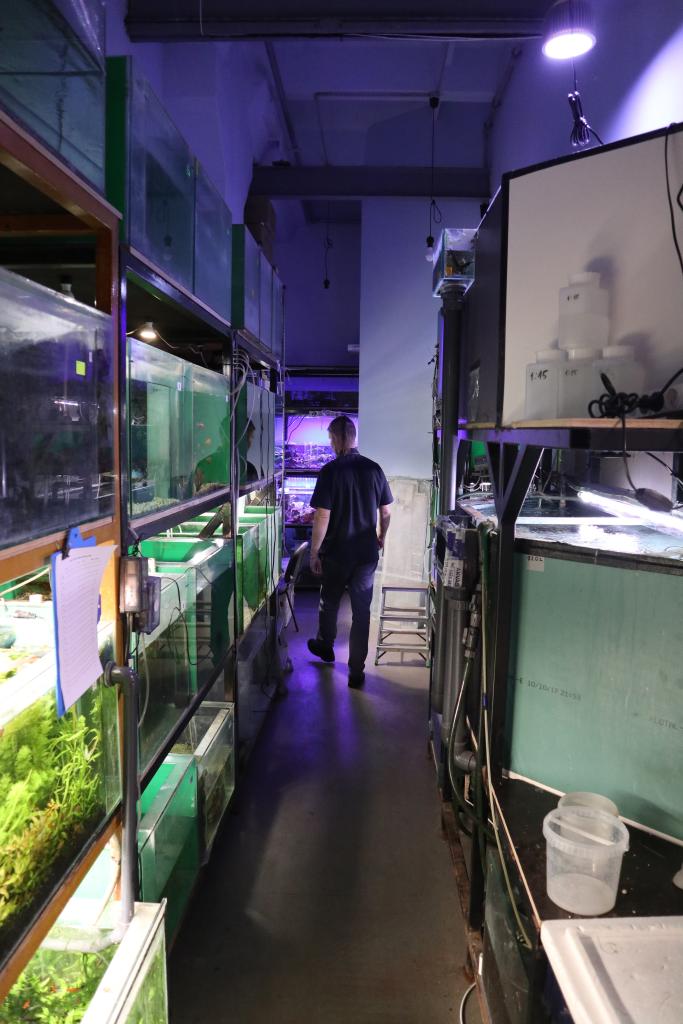 Akvakultura_10 copy.jpg