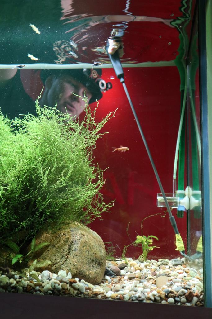 Akvakultura_2 copy-.jpg