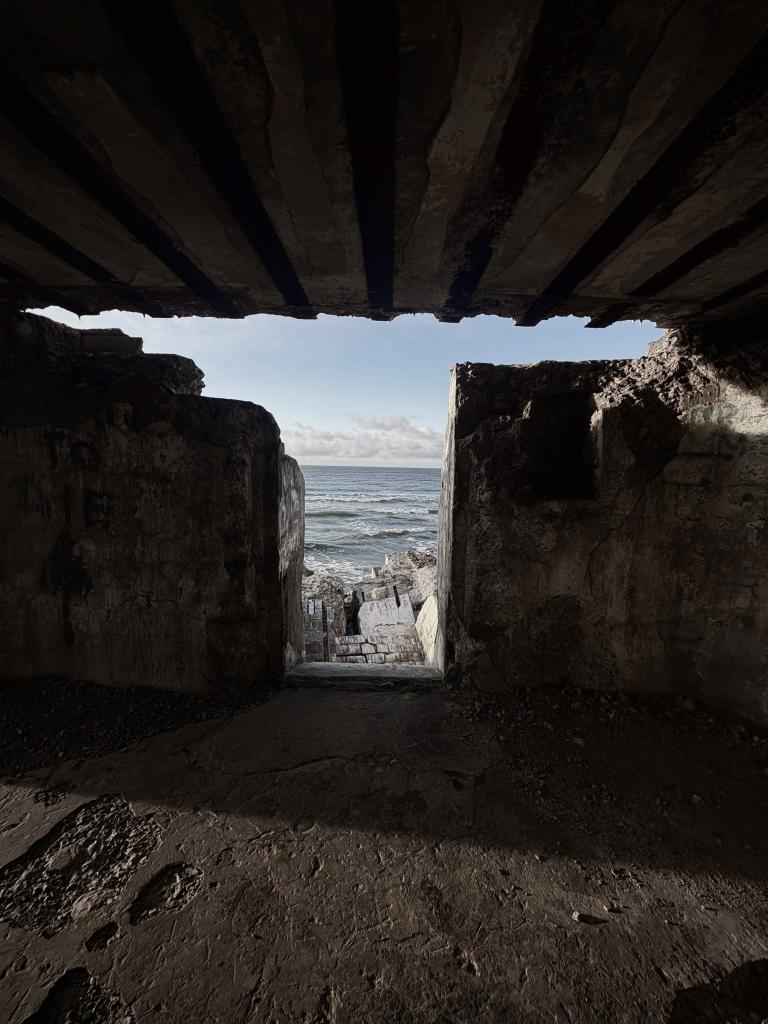 01-IMG_0783 2 copy.jpg