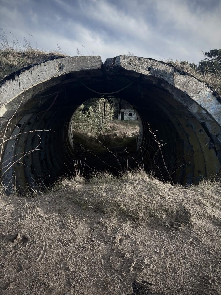 04-IMG_0797 2 copy.jpg