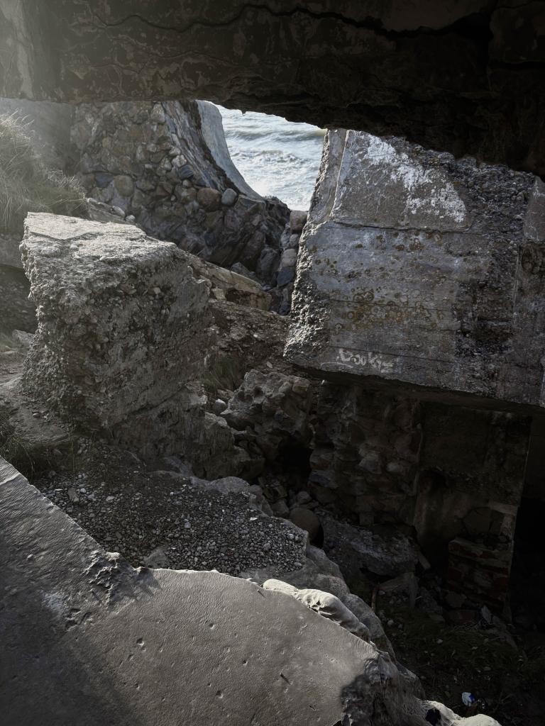 05-IMG_0800 2 copy.jpg