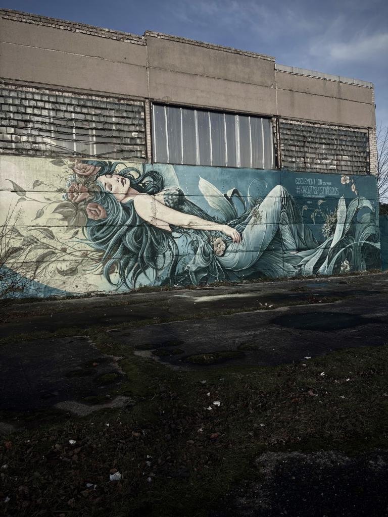 17-IMG_0776 2 copy.jpg