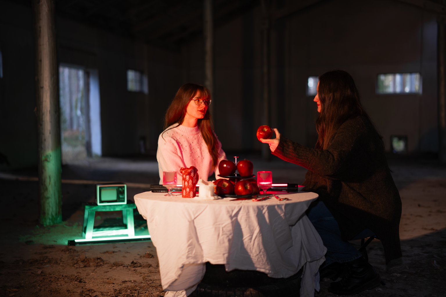 13Normālības ilūzija_Vakariņas C balcereLb copy.png