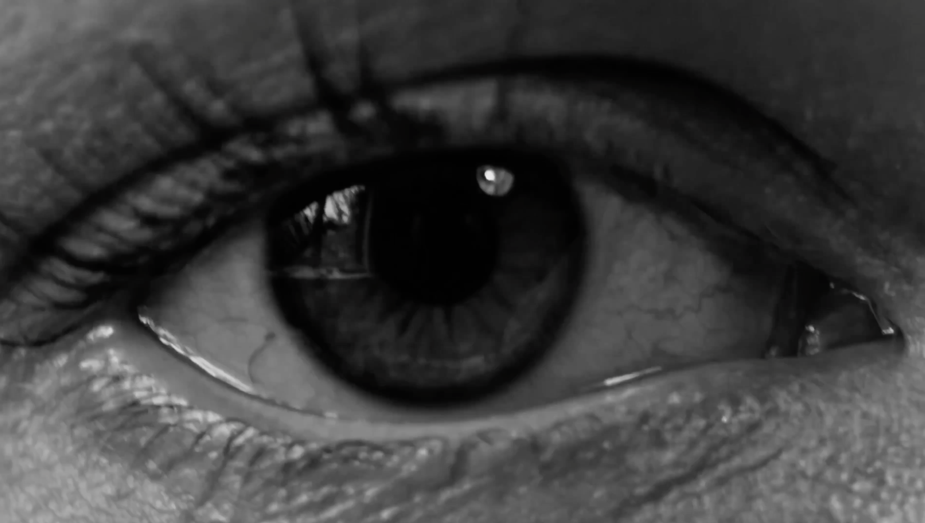 Screenshot 2025-11-20 at 12.44.41.png